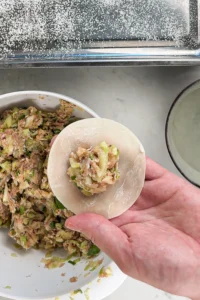 Lägg dumplingen i handflatan, fyll på och vik ihop