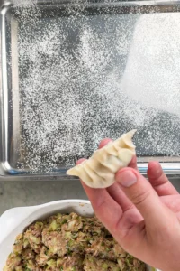 Vik dumplingen